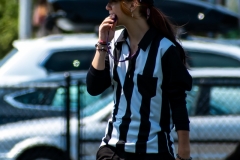 Ref-1
